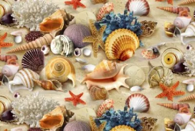 Conchas de colores jigsaw puzzle