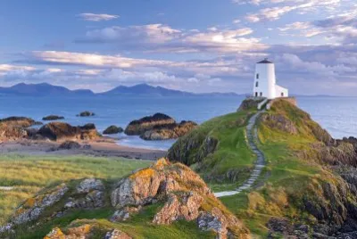 NATUREZA jigsaw puzzle