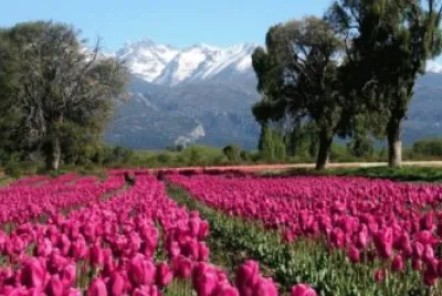 paisaje