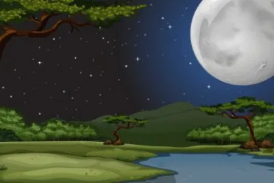 NOTURNO 4