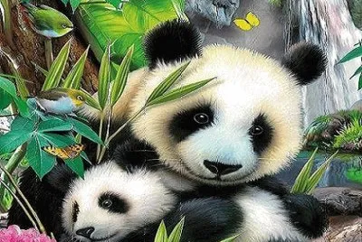 Pandas