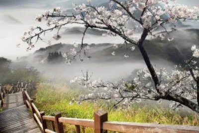paisaje jigsaw puzzle