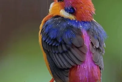 â™¥