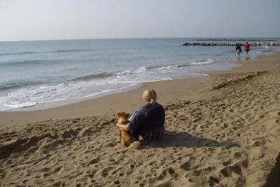 human and dog jigsaw puzzle