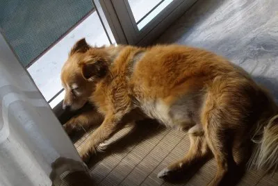 sleeping