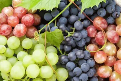 Raisins jigsaw puzzle