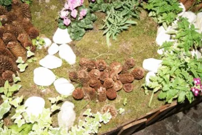 pigne jigsaw puzzle
