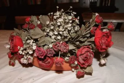 vaso di rose