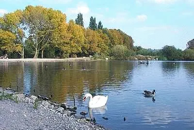 Attenborough Nature Reserve