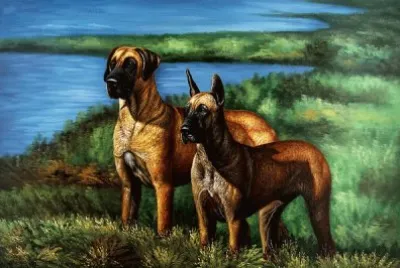 PERROS