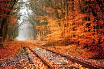 autumn #194 jigsaw puzzle