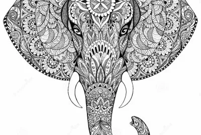 Tatoo