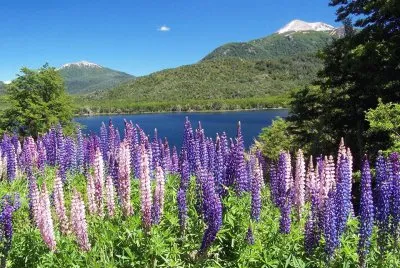 paisaje
