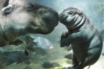 proud mummy jigsaw puzzle
