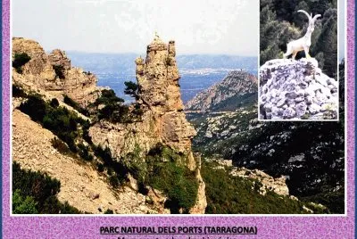 PARC NATURAL DELS PORTS (TARRAGONA) jigsaw puzzle