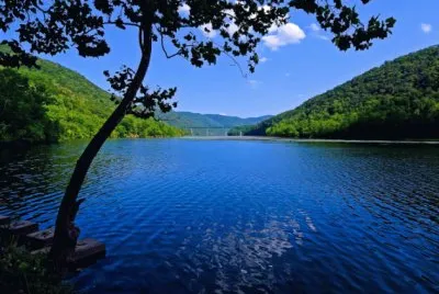 lake shore jigsaw puzzle