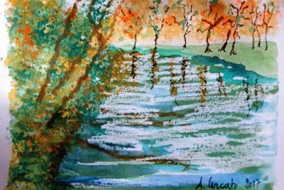 specchio d 'acqua