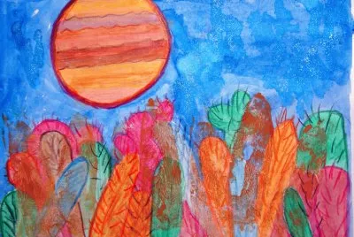 cactus al sole