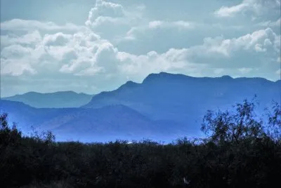 CampiÃ±a norteÃ±a, MÃ©xico.
