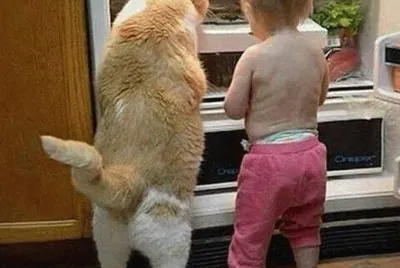 too cute jigsaw puzzle