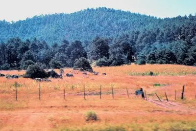 Sierra Tarahumara, MÃ©xico.
