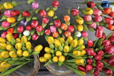 Tulips