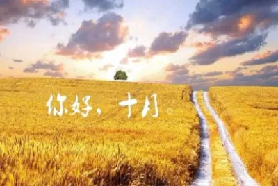 2018å¹´10æœˆ jigsaw puzzle
