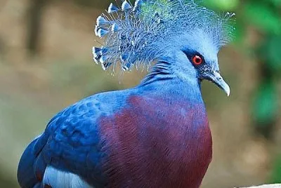 natural
