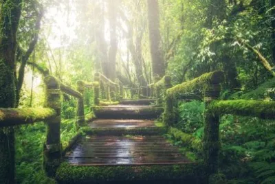 Nature