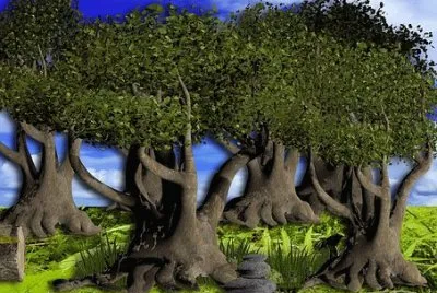 Nature