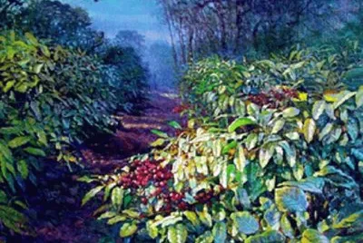 SENDERO