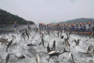 BUENA PESCA