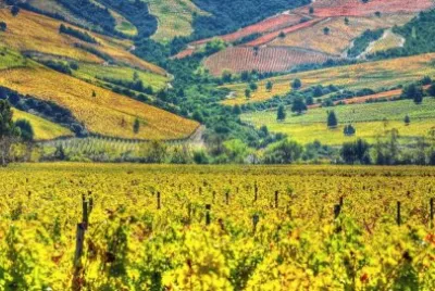 imagem jigsaw puzzle