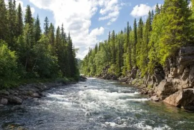 Nature
