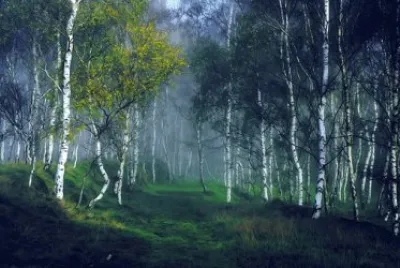 Nature