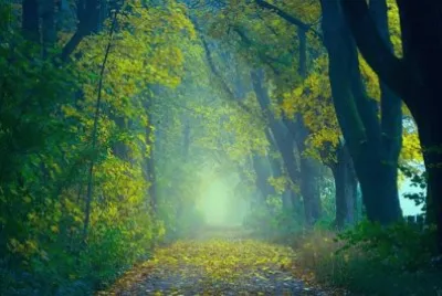Nature