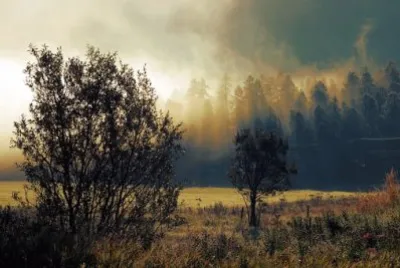Nature