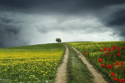 Nature jigsaw puzzle
