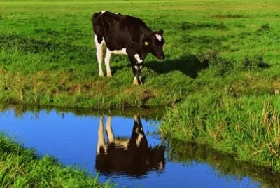 Nature jigsaw puzzle