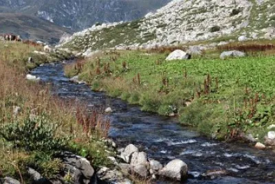 Nature jigsaw puzzle