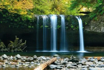 Nature