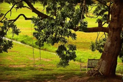 Nature jigsaw puzzle