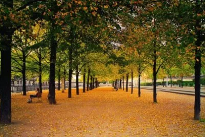 Nature jigsaw puzzle