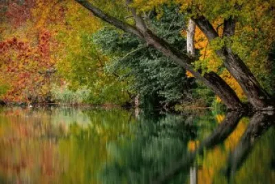 Nature jigsaw puzzle