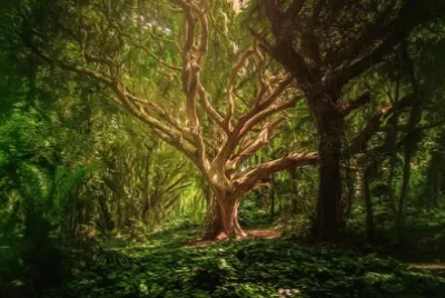 Nature