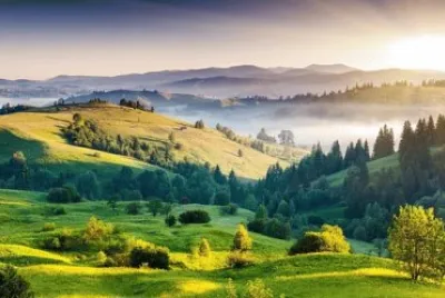 Nature jigsaw puzzle
