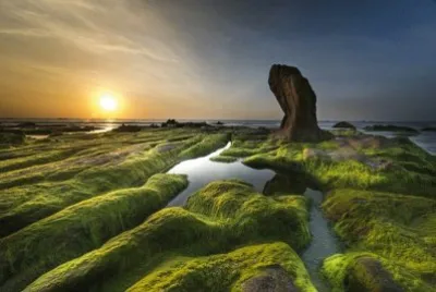 Nature jigsaw puzzle
