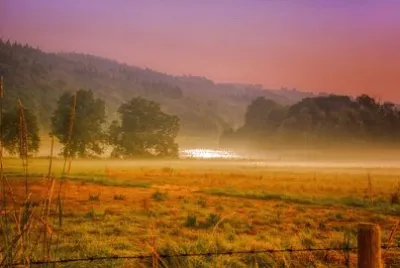 Nature jigsaw puzzle
