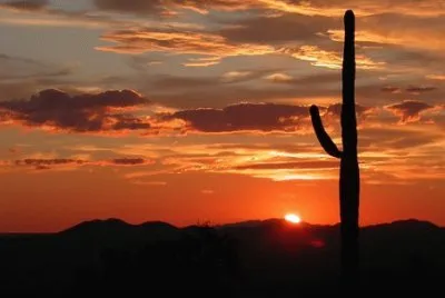 Nature jigsaw puzzle