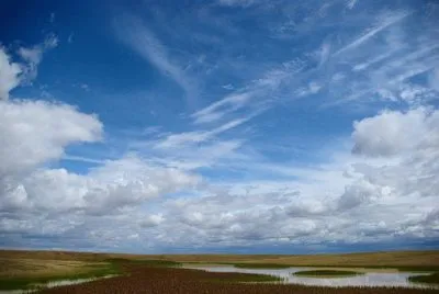 Nature jigsaw puzzle